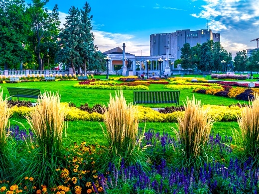 Bright flowers and neoclassical architecture in Denver's Civic Center Park.