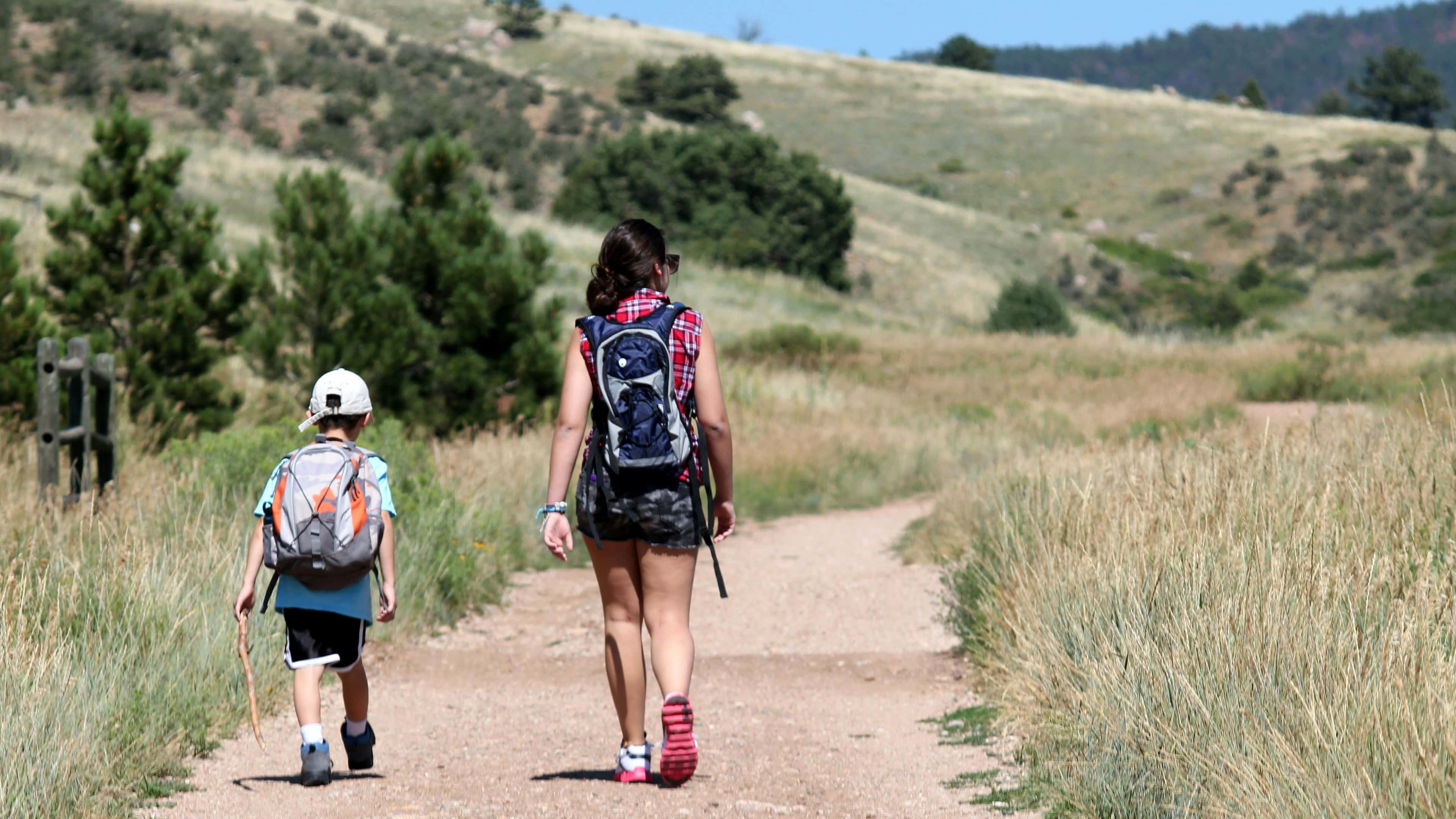 Comprehensive content marketing and brand domination strategies by Near Me SEO in Fort Collins