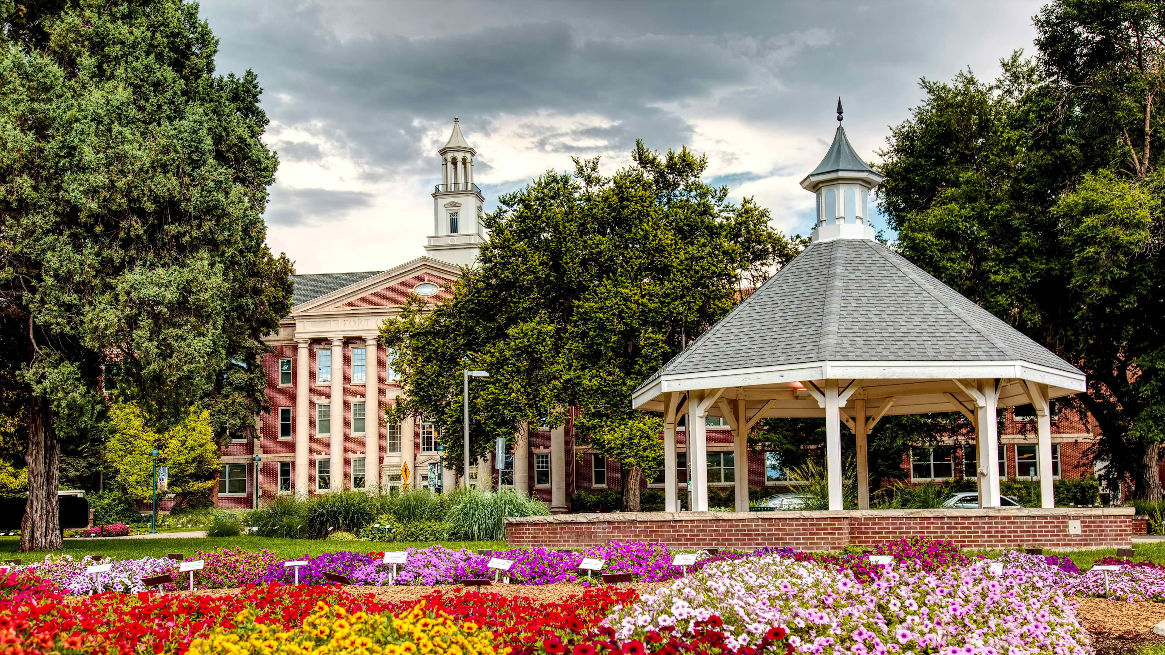 Digital PR and brand authority building strategies in Fort Collins by Near Me SEO