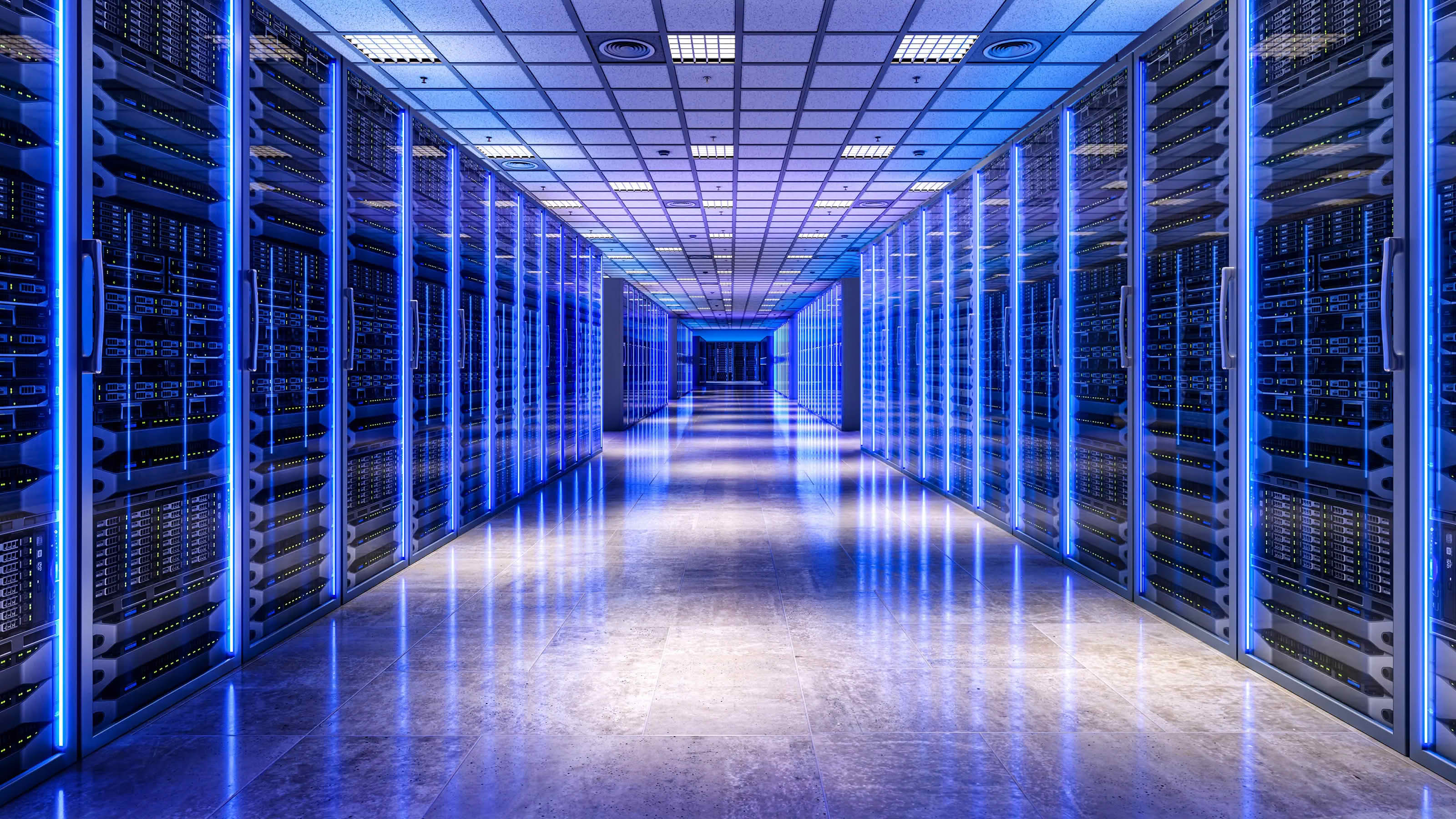 Enterprise SEO architecture and scalable corporate search engine optimization services in Fort Collins