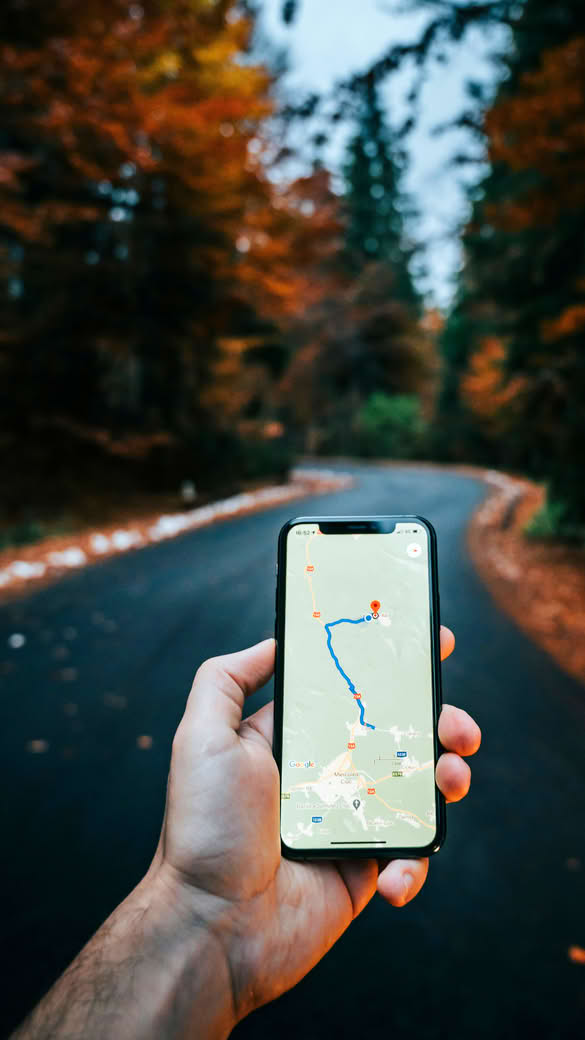 Enterprise Local SEO strategy mapping for Fort Collins and Larimer County visibility